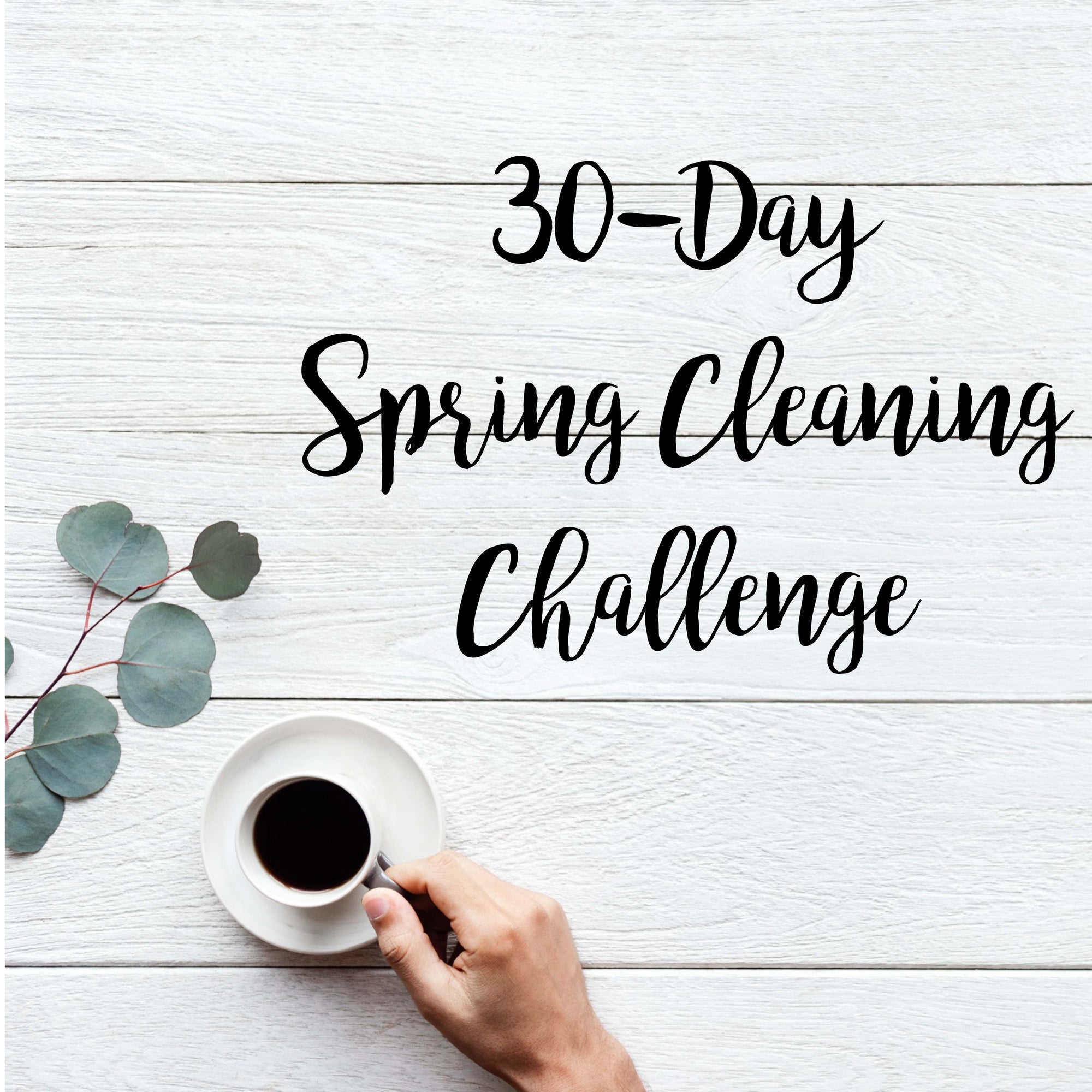 Spring Cleaning 30 Day Challenge