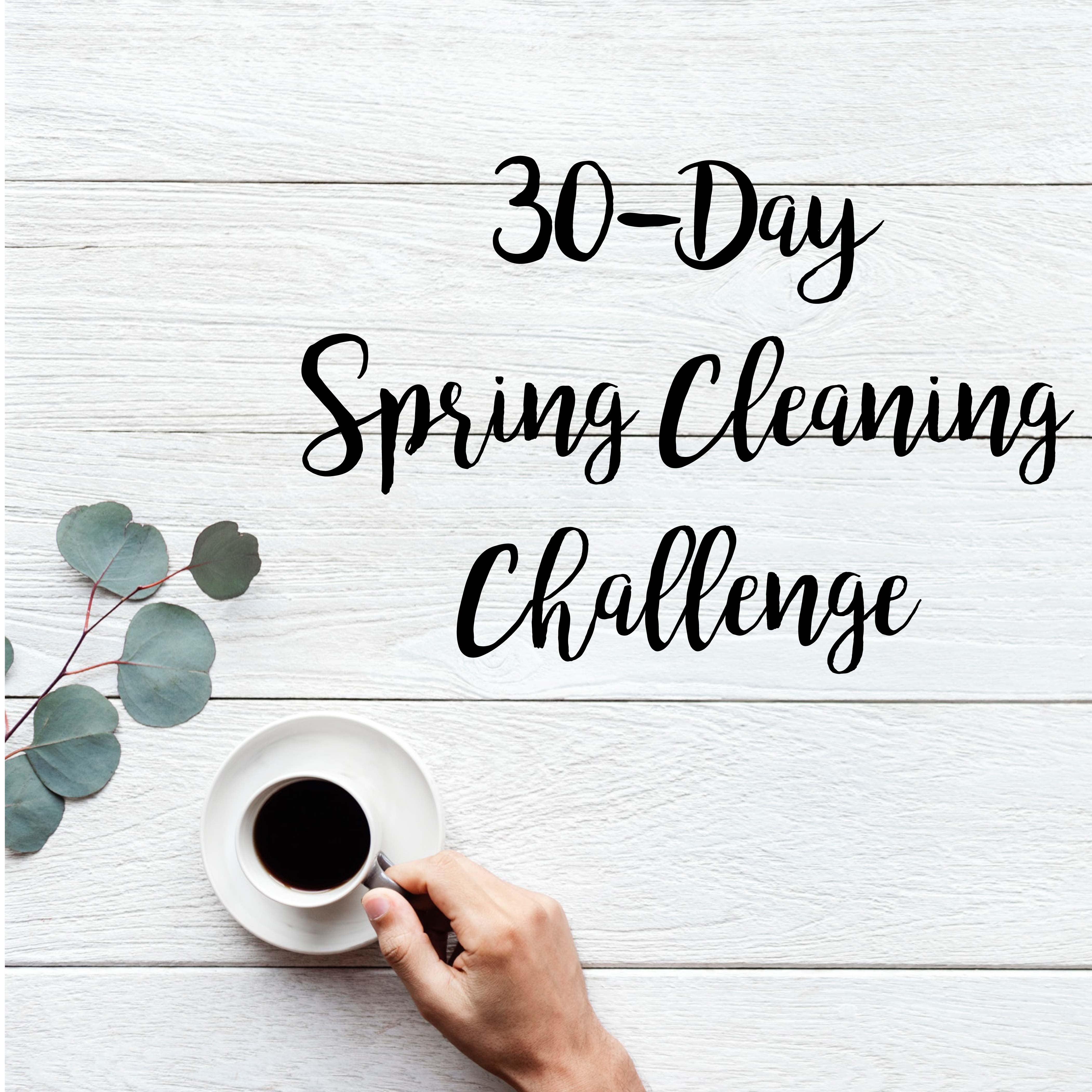 Spring Clean in 30 Schedule